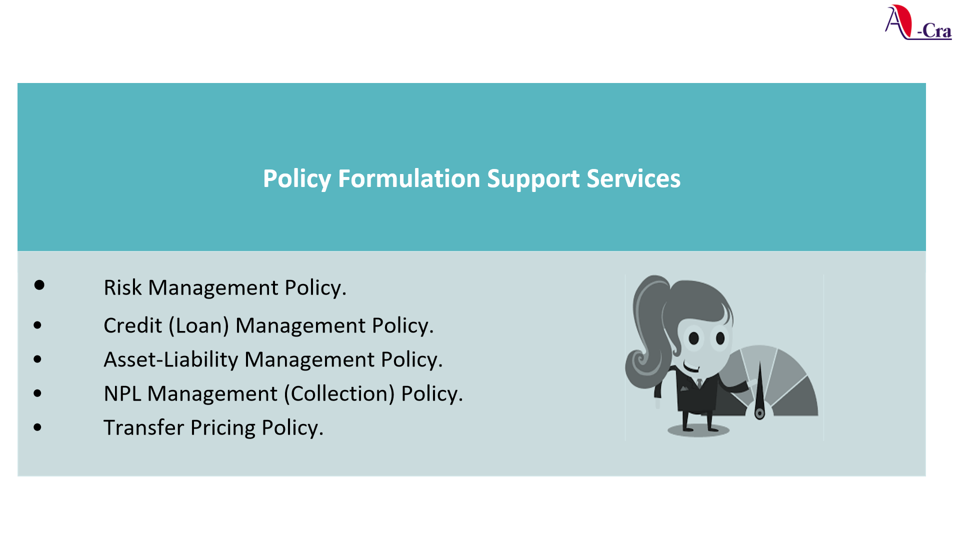 Policy Formulation Services